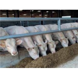 LIBRE-SERVICE A BARRE-GARROT