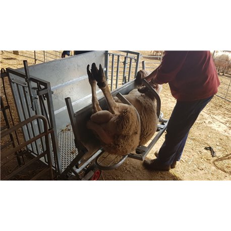 Cage de retournement/contention