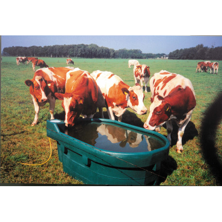 Bassin en polyéthylène pour bovin/chevaux/ovin/caprin