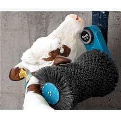 Brosse à vache électrique rotatitve incliné Cosy cow 