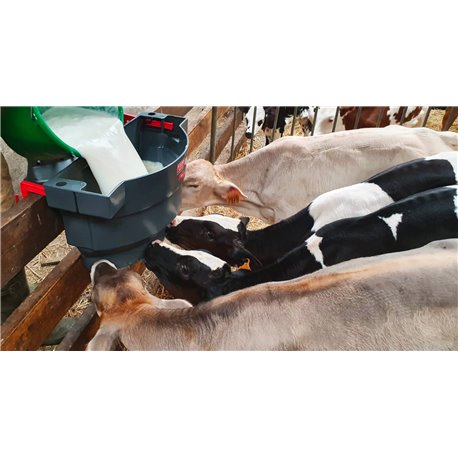 MILK BAR 4 tétines - 36L