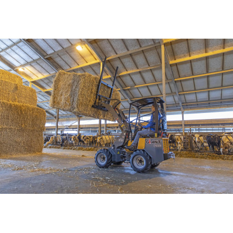 Ultrakompakter Lader Giant G1100