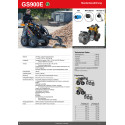 Skid-Steer-Lader Giant GS900 E
