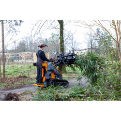Skid-Steer-Lader Giant GS950 T 2