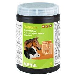 Goudron de Norvège - Hêtre