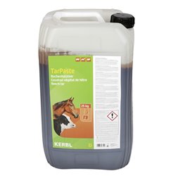 Goudron de Norvège - Hêtre