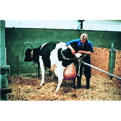 Vêleuse à mouvement alternatif VINK 2