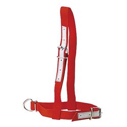 Licol en nylon rouge 