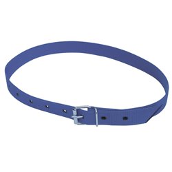 Collier de marquage bleu 