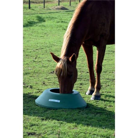Mangeoire de prairie pour chevaux