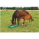 Mangeoire linéaire sélective pour chevaux 