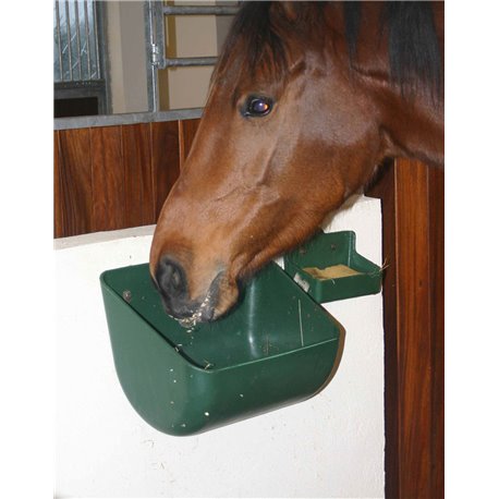 Mangeoire murale pour bovin/chevaux/ovin