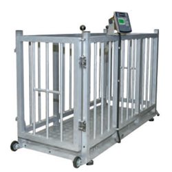 Cage de pesage Galvanisée pour moutons/veaux/porcs