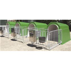 IGLU FÜR 1 KALB MIT AUSLAUF